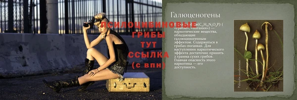 винт Вязьма