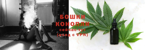 тгк Горнозаводск