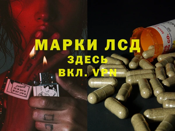 ECSTASY Вязники