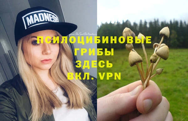 ALPHA-PVP Вяземский